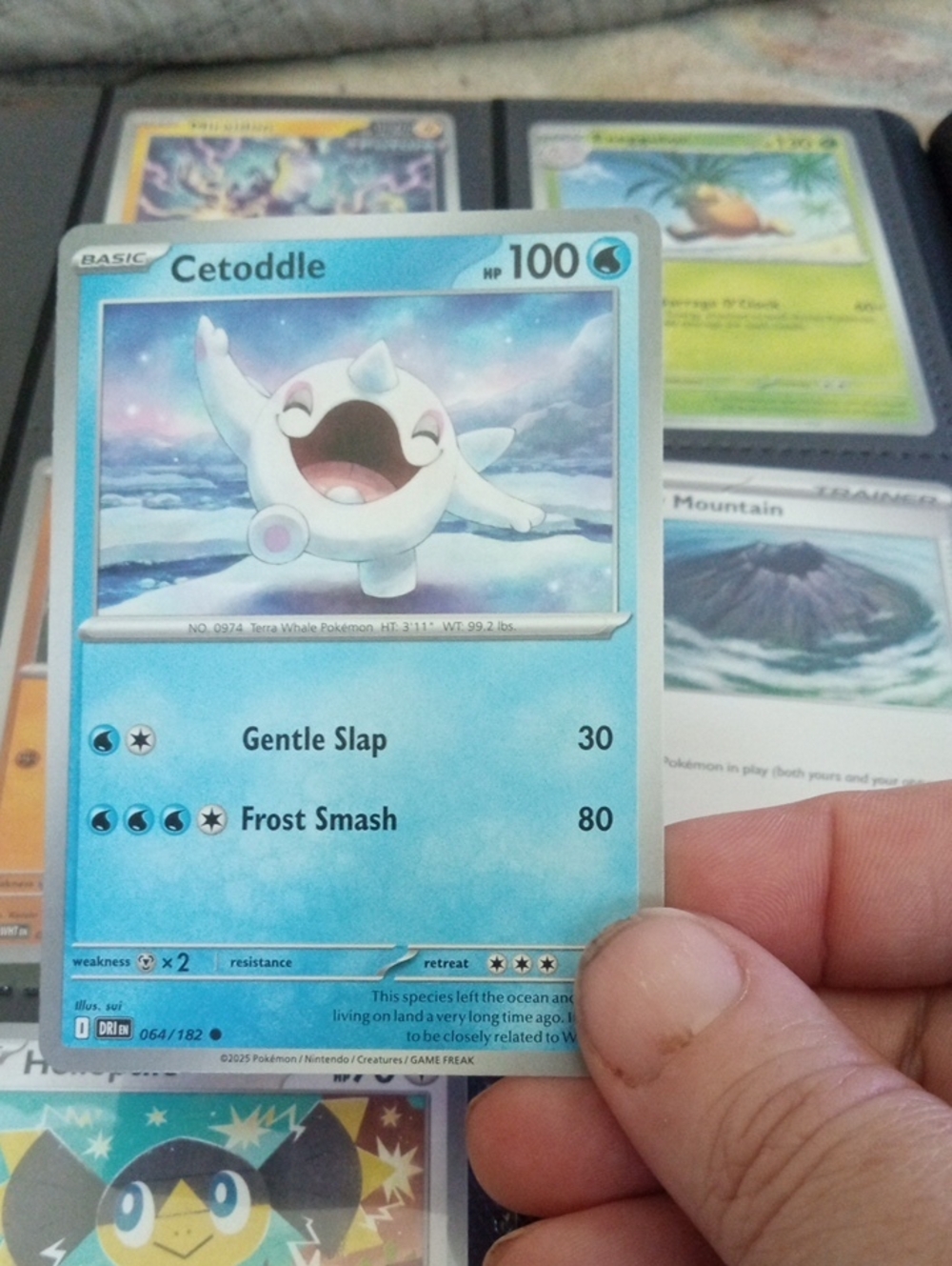 Pokemon Cetoddle Blue and White Trading Card